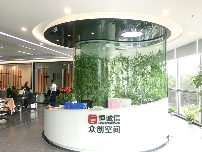 前台-實拍-草莓视频下载网址裝修