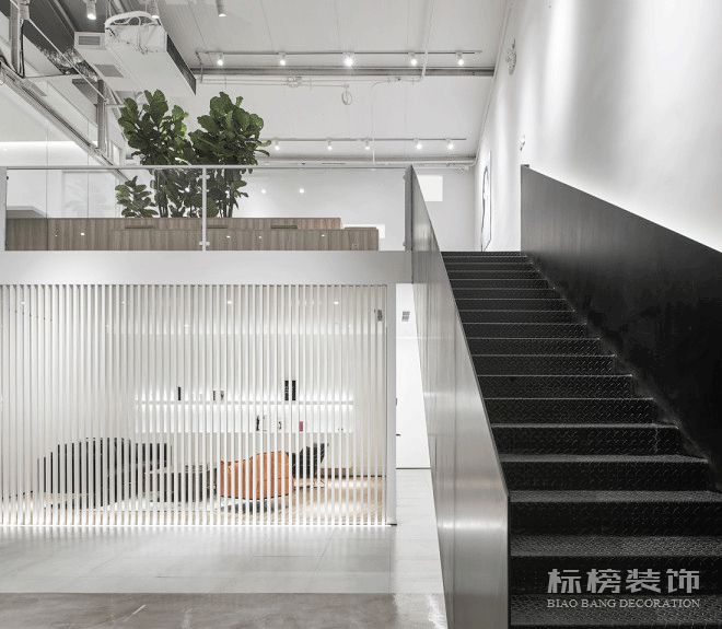 辦公室植物擺放植物有哪些，怎麽擺放比較好？